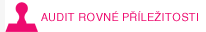 Audit rovn� p��le�itosti